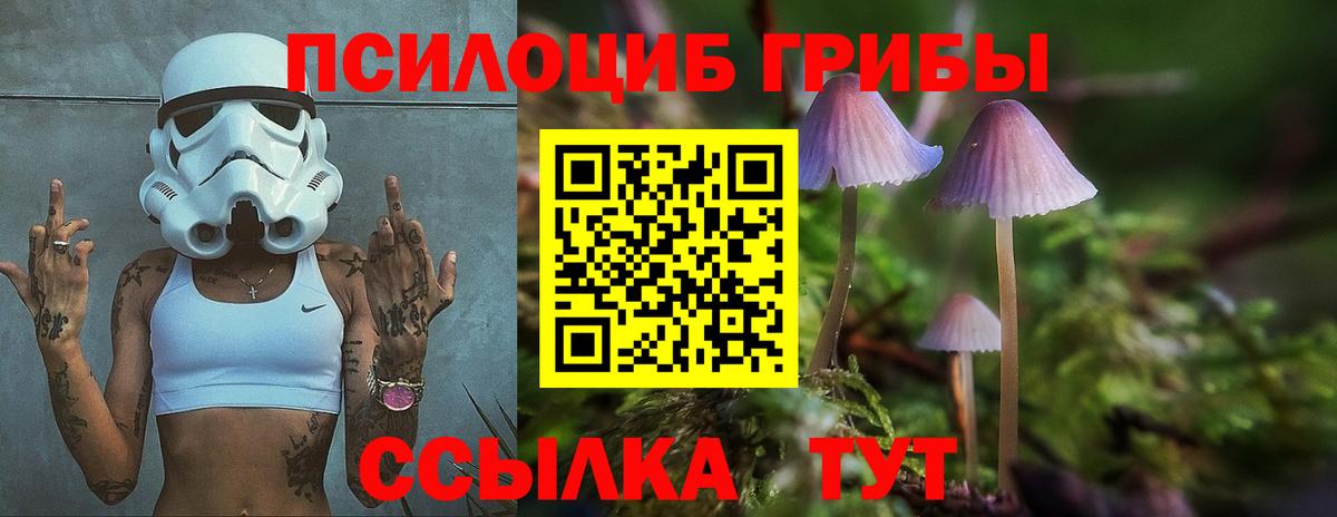 где можно купить   Галлюциногенные грибы ЛСД  Вход с VPN  Псков 